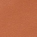 color swatch Ray Cutler Tan Brown Leather Blazer